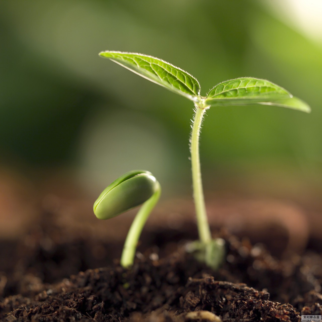 選擇凱能鍋爐，共創(chuàng)綠色家園