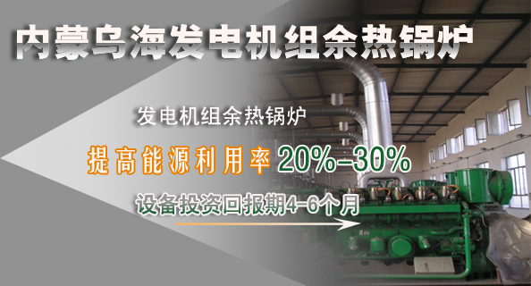 青島凱能鍋爐發(fā)電機(jī)組余熱鍋爐