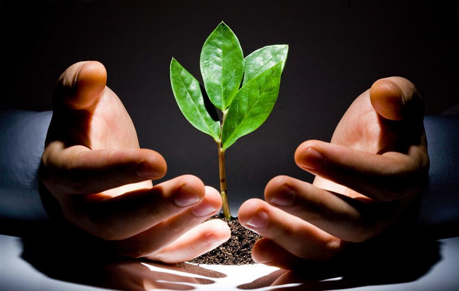 選對(duì)方向才會(huì)成長