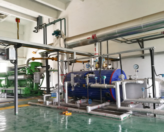 1000kW 沼氣發(fā)電機(jī)組余熱鍋爐